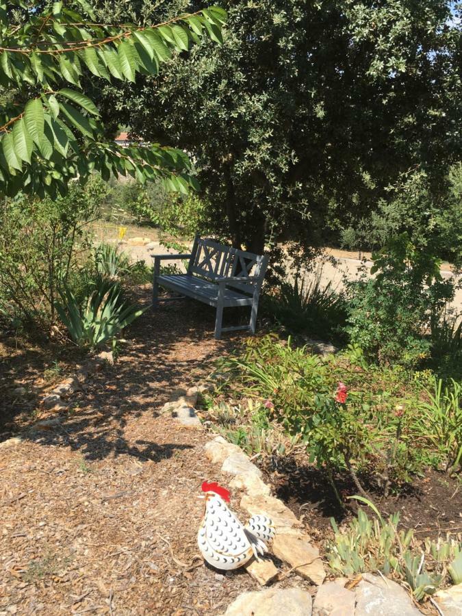 Les Karakis, Piscine Au Sel, Jardin 5000M2 Villa Les Arcs-sur-Argens Dış mekan fotoğraf